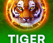 Tiger Stone