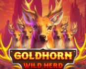 Goldhorn Wild Herd