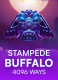 Stampede Buffalo 4096 Ways