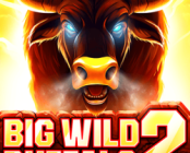 Big Wild Buffalo 2