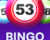 Bingo Power
