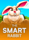 The Smart Rabbit