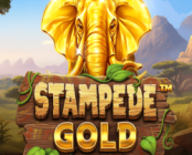 Stampede Gold