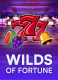 Wilds Of Fortune