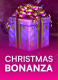 Christmas Bonanza