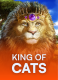 King of Cats