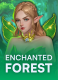 Enchanted Forest