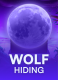 Wolf Hiding