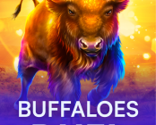 Buffaloes Duel