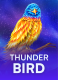 Thunder Bird