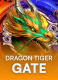 Dragon Tiger Gate