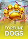 Fortune Dogs