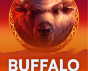 Buffalo Cash Pool