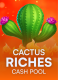 Cactus Riches Cash Pool
