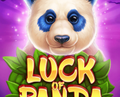Luck of Panda: Bonus Combo
