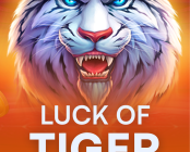 Luck of Tiger: Bonus Combo