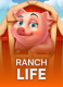 Ranch Life