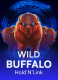 Wild Buffalo: Hold ‘n’ Link