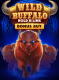 Wild Buffalo: Hold ‘n’ Link Bonus Buy