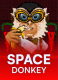Space Donkey