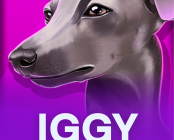 Iggy Racing