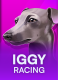 Iggy Racing