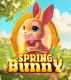 Spring Bunny