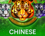 Chinese Tigers
