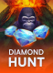 Diamond Hunt