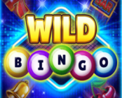 Wild Bingo