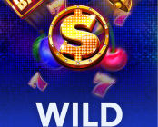 Wild Spin