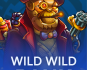 Wild Wild Bank