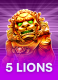 5 Lions