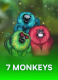 7 Monkeys