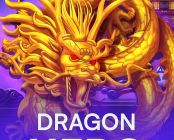 Dragon Hero