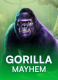 Gorilla Mayhem
