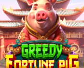 Greedy Fortune Pig