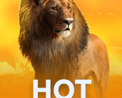 Hot Safari
