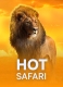 Hot Safari