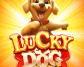 Lucky Dog