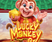 Lucky Monkey