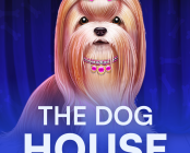 The Dog House Dice Show