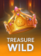 Treasure Wild