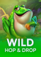 Wild Hop & Drop