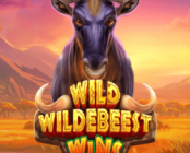 Wild Wildebeest Wins