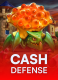 Cash Defense