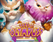 Cats of Olympuss