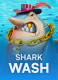 Shark Wash
