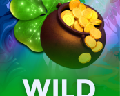 Wild Patrick’s Day