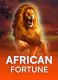 African Fortune